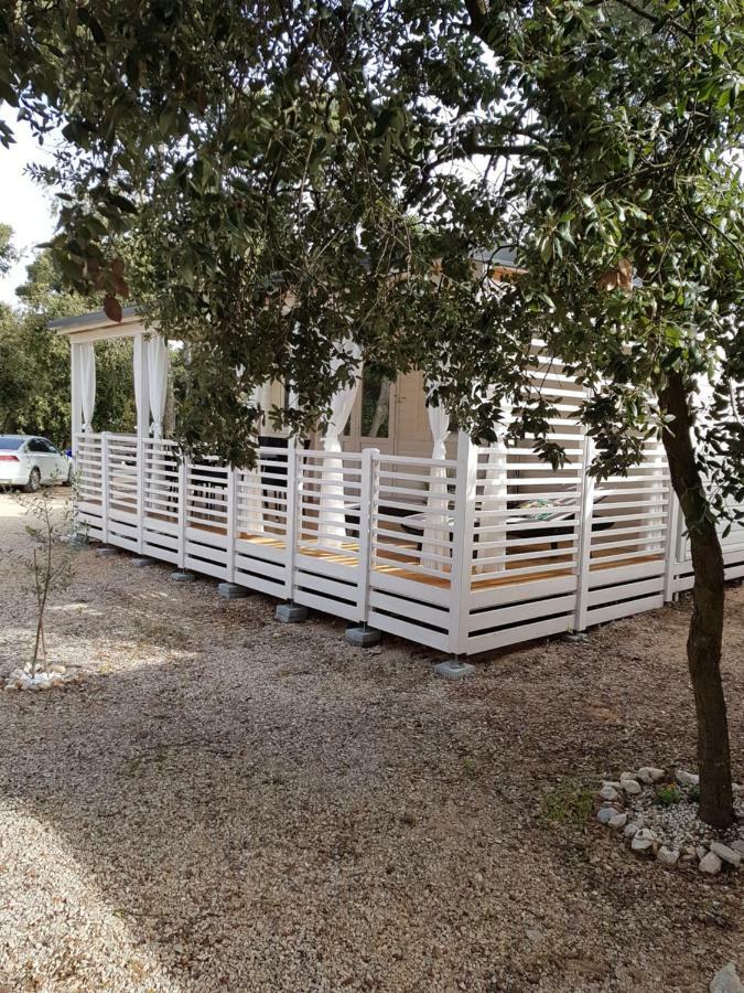 Summertime By Pearl Of The Biograd Biograd Na Moru Luaran gambar
